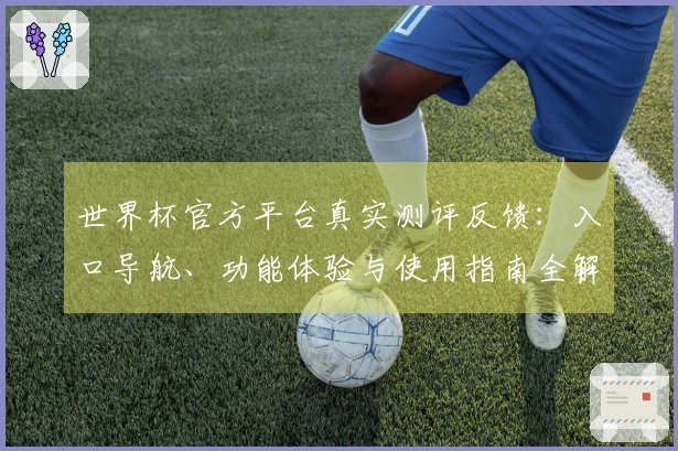 世界杯官方平台真实测评反馈：入口导航、功能体验与使用指南全解析