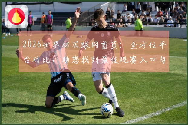 2026世界杯买球网首页：全方位平台对比，助您找到最佳观赛入口与体验