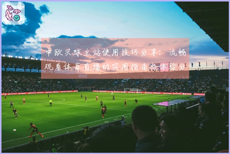 中欧买球主站使用技巧分享：流畅观看体育直播的实用指南与体验分享