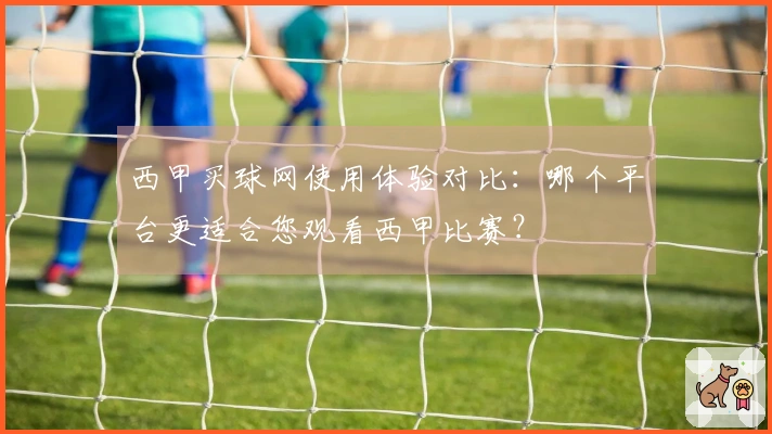 西甲买球网使用体验对比：哪个平台更适合您观看西甲比赛？