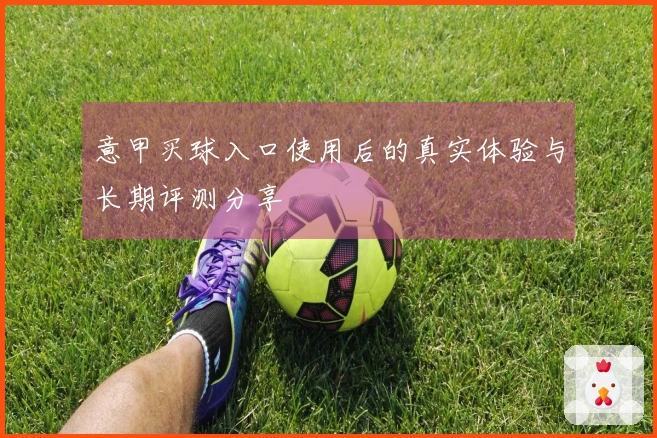 意甲买球入口使用后的真实体验与长期评测分享