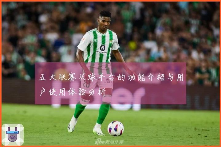 五大联赛买球平台的功能介绍与用户使用体验分析