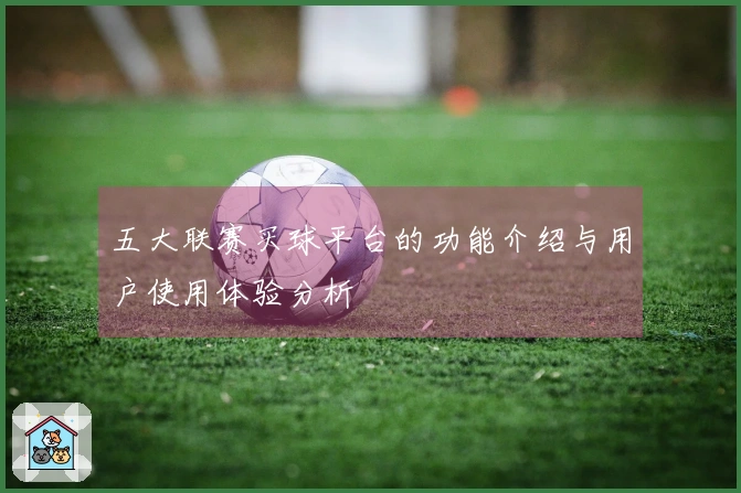 五大联赛买球平台的功能介绍与用户使用体验分析