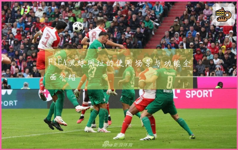 FIFA买球网址的使用场景与功能全面介绍
