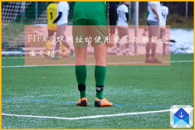 FIFA买球网址的使用场景与功能全面介绍