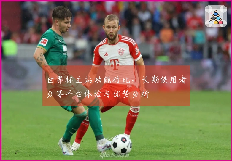 世界杯主站功能对比，长期使用者分享平台体验与优势分析